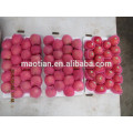 Fresh apple Fresh fuji fruit for sale